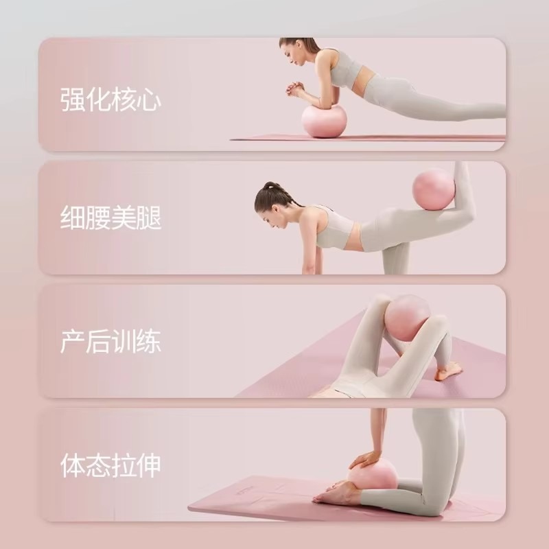 Dames Gym Yoga Fitness Bal Ver - Pilates Ball Mini recensie en prijs