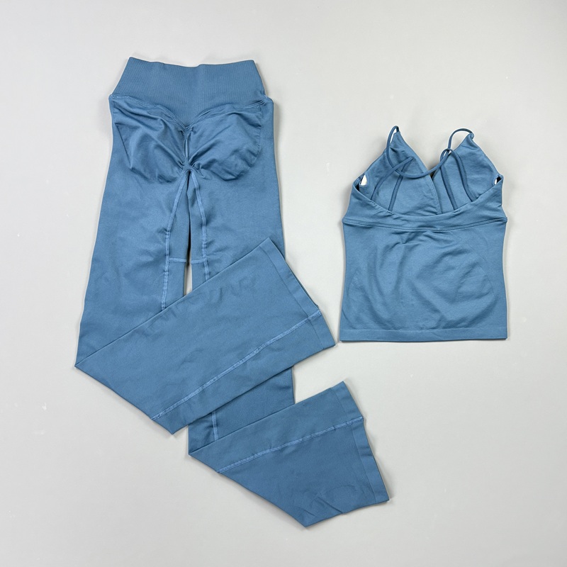 2-delig dames naadloze yogaset - Pilates Yoga Sport recensie en prijs